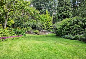 Optimiser l'expérience du jardin à Le Pont-de-Montvert